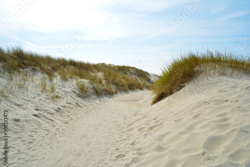 Nordsee Strand auf Langeoog, Strand auf Insel Langeoog, Langeoog Strand und Dünen