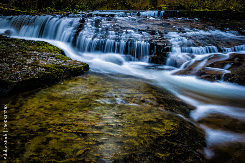 Obraz premium Flowing waterfall in the forest