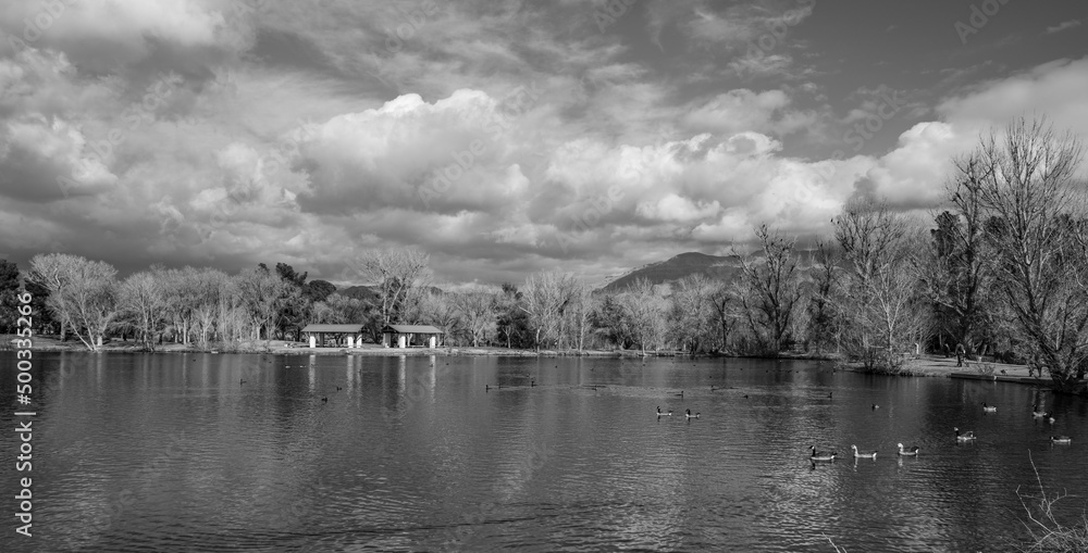 morning on the lake black and white