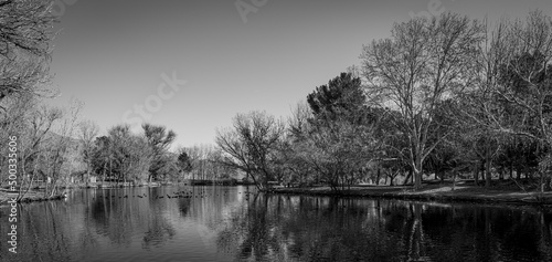 reflection in the water black and white