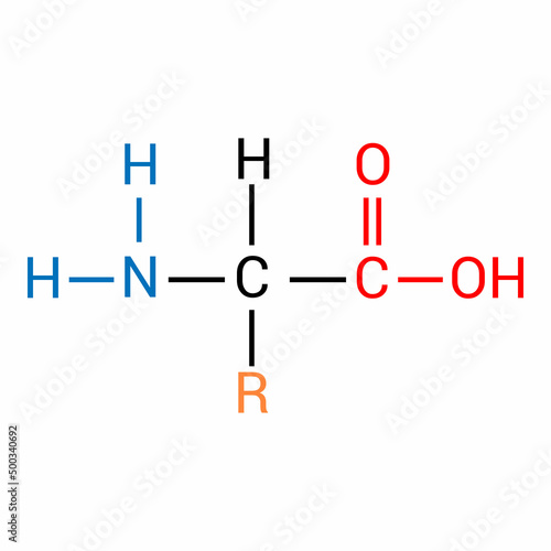 the general structure of an amino acid
