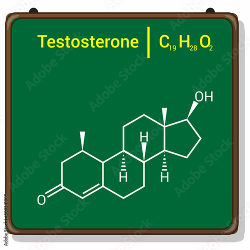 chemical structure of testosterone (C19H28O2)