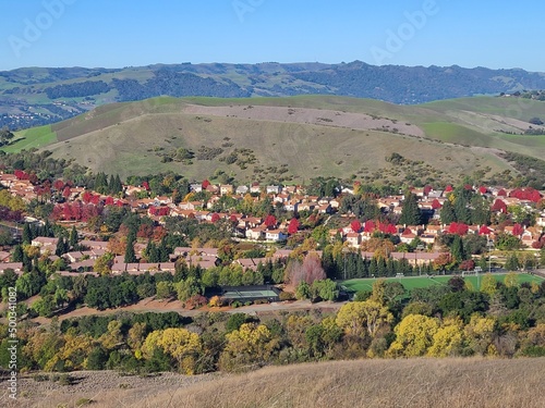 Aerial view of autumn colors in a California city