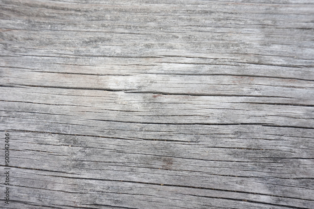 Weathered Gray Wood Panel as Background Weathered Gray Wood Panel as Background