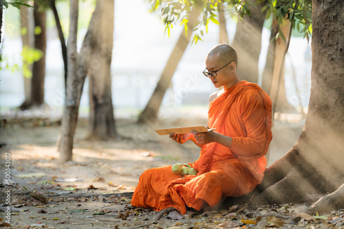 Fototapeta Buddhist monk in buddhism school monastery reading Buddhist lessen book