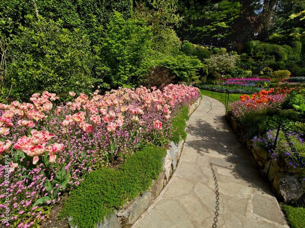 Lush garden blooming in the springtime with tulips, flowerbeds and lawns Lush garden blooming in the springtime with tulips, flowerbeds and lawns