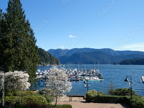 Lake in North Vancouver, BC