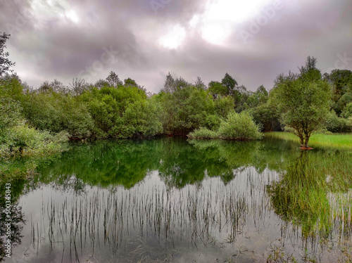 Fototapeta Naklejka Na Ścianę i Meble -  lake in the forest with reflection 