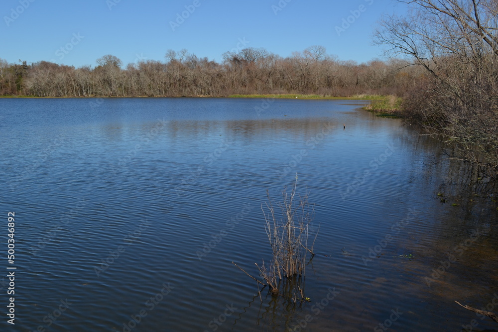 White Lake in early spring time, Cullinan Park, Sugar Land, Texas White Lake in early spring time, Cullinan Park, Sugar Land, Texas