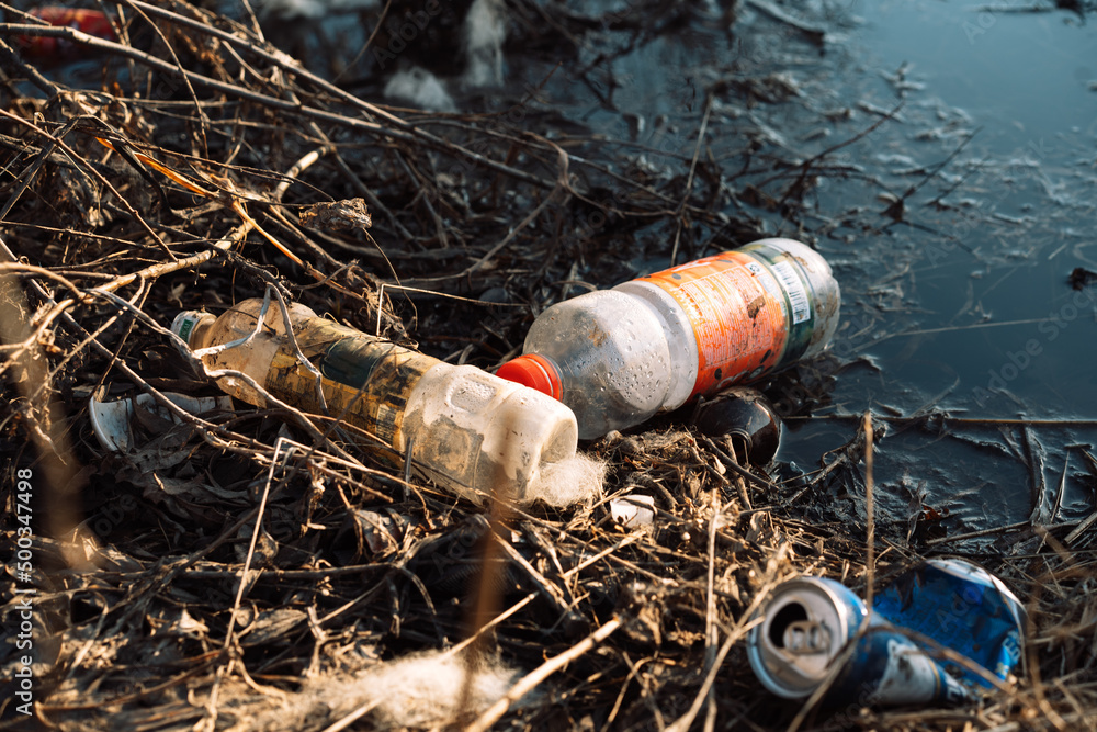 Obraz premium Polluted lake shore with plastic and tin bottles.