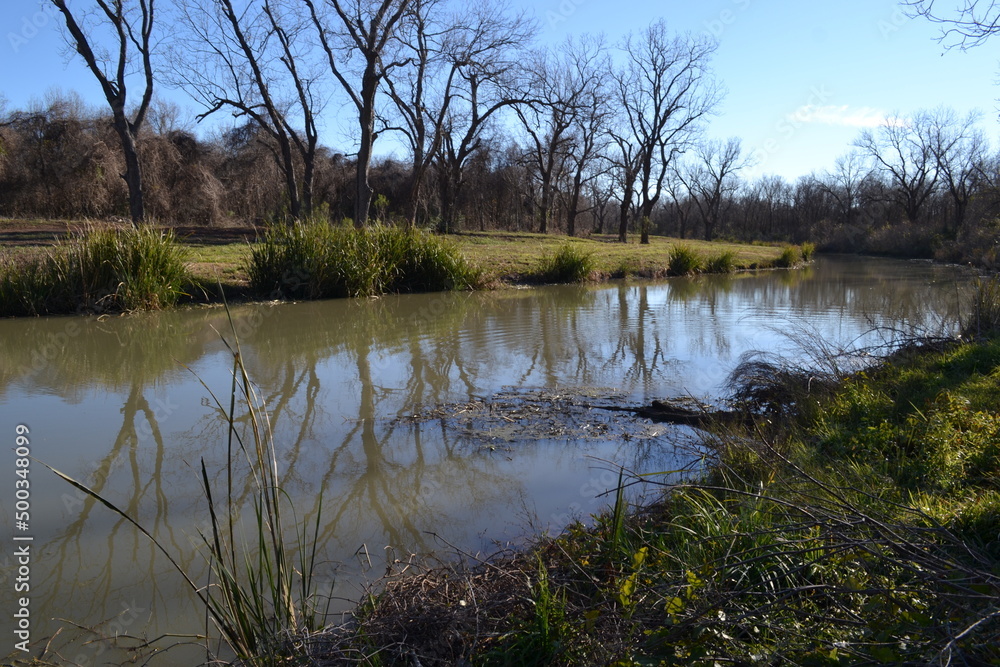 On the edge of Oyster Creek, natural stream in Cullinan Park, Sugar Land, Texas