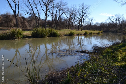 Obraz na płótnie On the edge of Oyster Creek, natural stream in Cullinan Park, Sugar Land, Texas w salonie