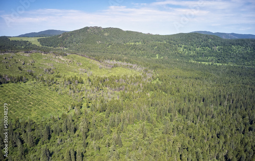 Aerial photo of Altai mountains natural landscape near Seminsky mountain pass.