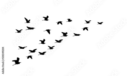 Silhouette of flock of flying birds isolated on white background  perfect for a nature themed template. Vector illustration.