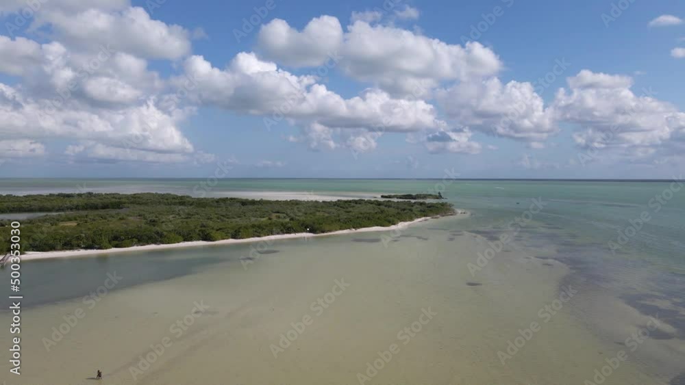 Wide angle drone shot of where the mangrove meets the Caribbean sea off the coast of the beautiful tropical island of Holbox during a hot sunny day in Mexico shot in 4k. Wide angle drone shot of where the mangrove meets the Caribbean sea off the coast of the beautiful tropical island of Holbox during a hot sunny day in Mexico shot in 4k.