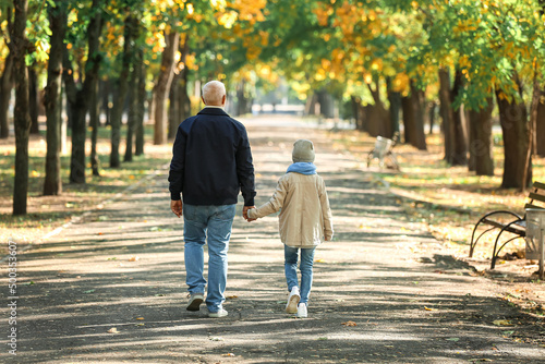 Little girl with her grandfather walking in park, back view