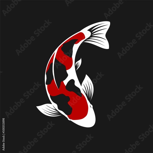 Koi Fish Vector 