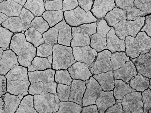 crack dry ground texture at drought season, black and white style