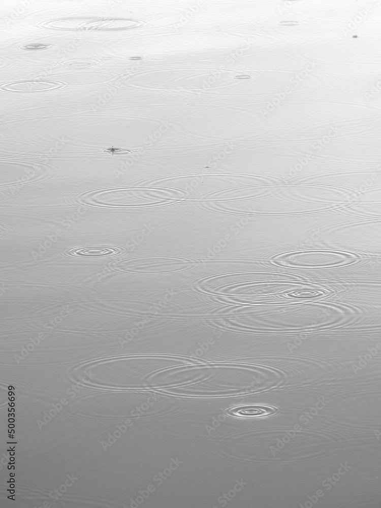 water drops of rain falling on water with ripple water drops of rain falling on water with ripple