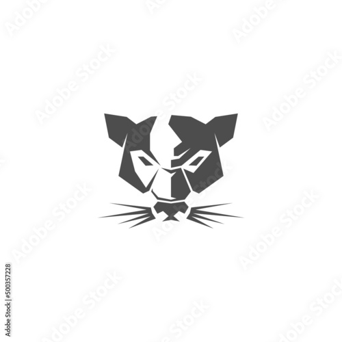 Photography Phanter logo icon design illustration