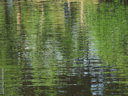 abstract water reflection of tree in the pond