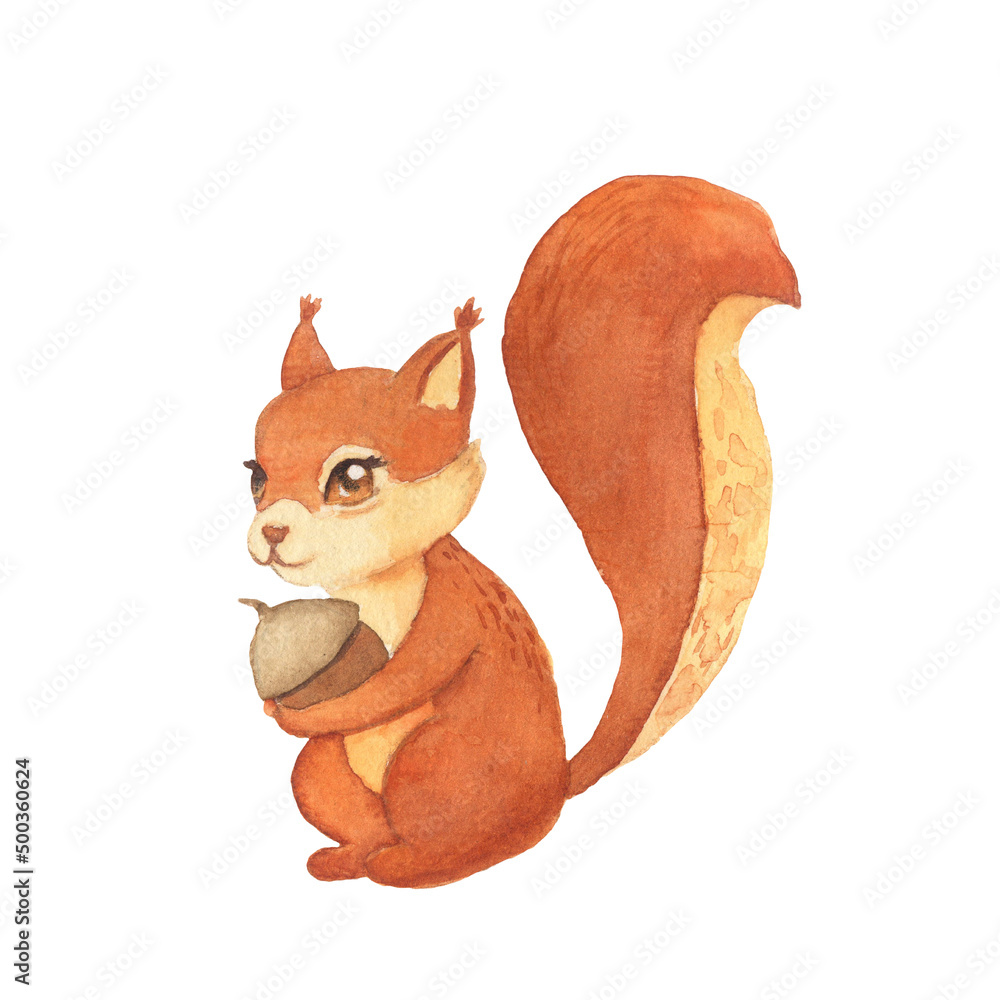 Fototapeta premium Illustration of watercolor cute red squirrel. Hand drawn character forest animal isolated on white background. Woodland illustration