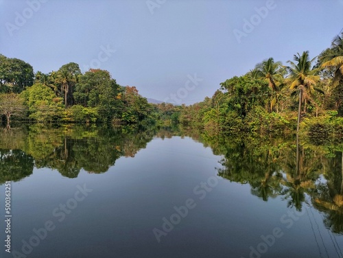 Bank   s of river Periyar at bhoothathankettu  kerala. Reflection of nature on the surface of river.