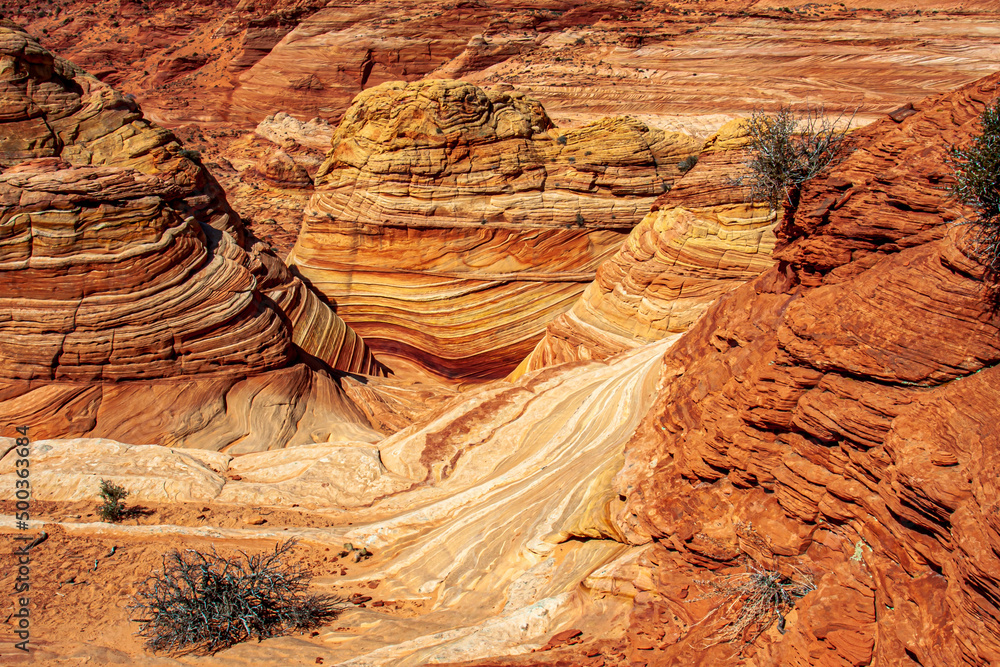 Φωτογραφία A view of the Wave from above shows off the geology of Coyote Buttes