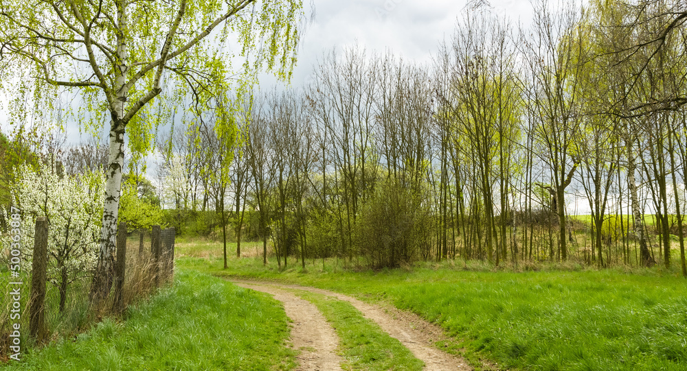 A small village road in spring, Rural Czech Republic A small village road in spring, Rural Czech Republic