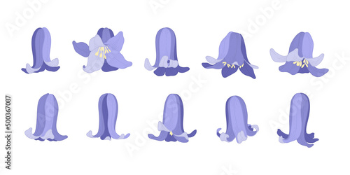 Set of bluebell blooming flowers illustration.