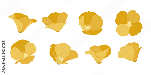 Set of california poppy blooming flowers illustration.