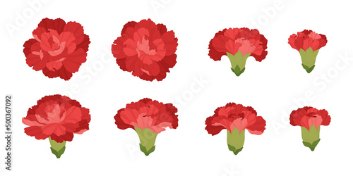 Set of red carnation blooming flowers illustration.