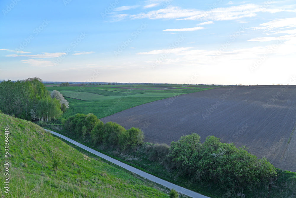 Beautiful landscape, view of the village, fields and meadows. Trees, grass, one street, road, park.