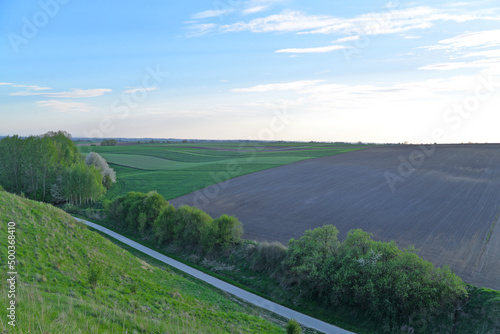 Obraz na płótnie Beautiful landscape, view of the village, fields and meadows. Trees, grass, one street, road, park. w salonie