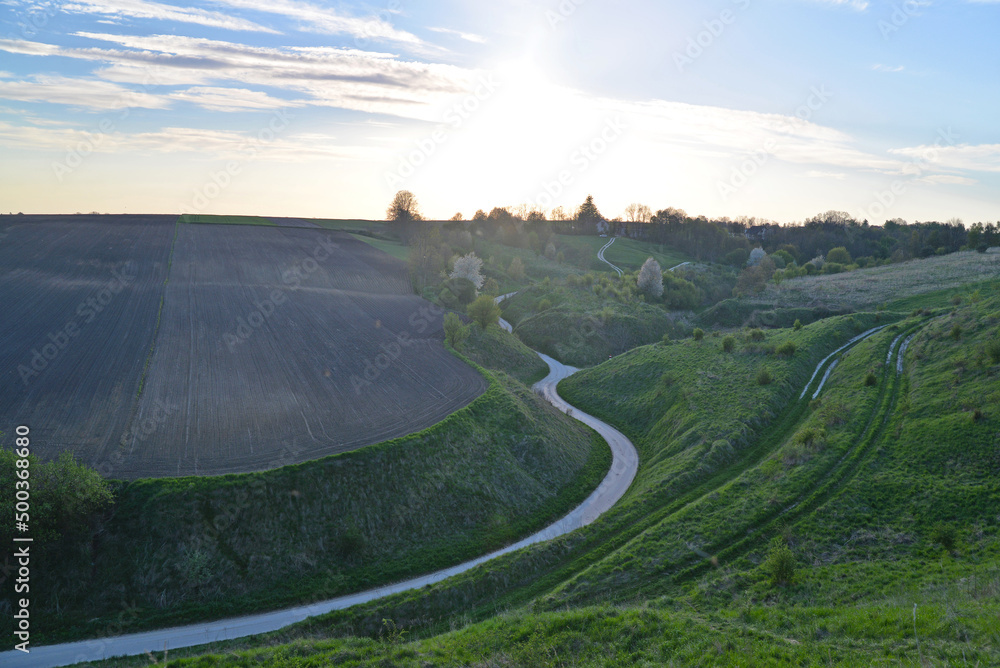 Beautiful landscape, view of the village, fields and meadows. Trees, grass, one street, road, park.