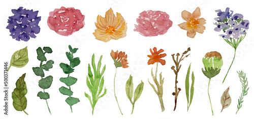 collection of beautiful hand painted spring flower watercolor