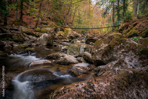 Fototapeta Naklejka Na Ścianę i Meble -  Moss stones in the river with suspension bridge in a mountain valley and green forest. Natural landscape torrent Buchberger Leite in the Bavarian Forest, Germany.