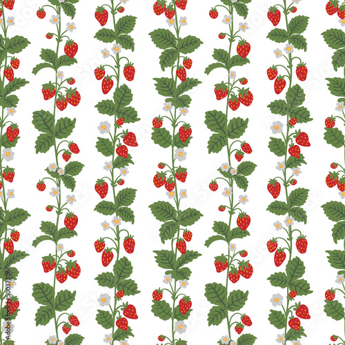 Wild strawberries bush stem, whip vector seamless pattern. Summer forest berry hand drawn texture for wallpapers, textile, wrapping paper, fabric, packaging, cards. Cute fruit flat cartoon background