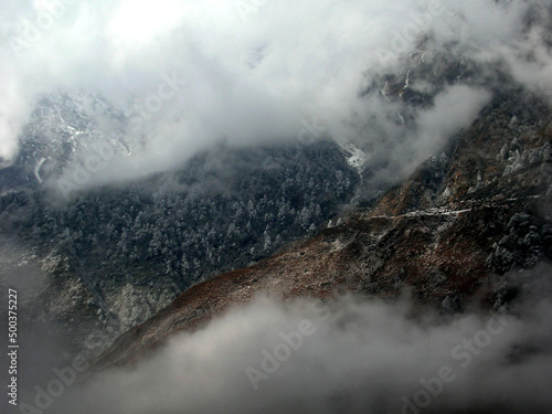 Fog engulfed the craggy terrain and coniffer pine trees after the fresh snowfall look mesmerizing at Lachung situated at 11000 ft altitude in Sikkim. Lachung is famous for its isolated natural beauty.