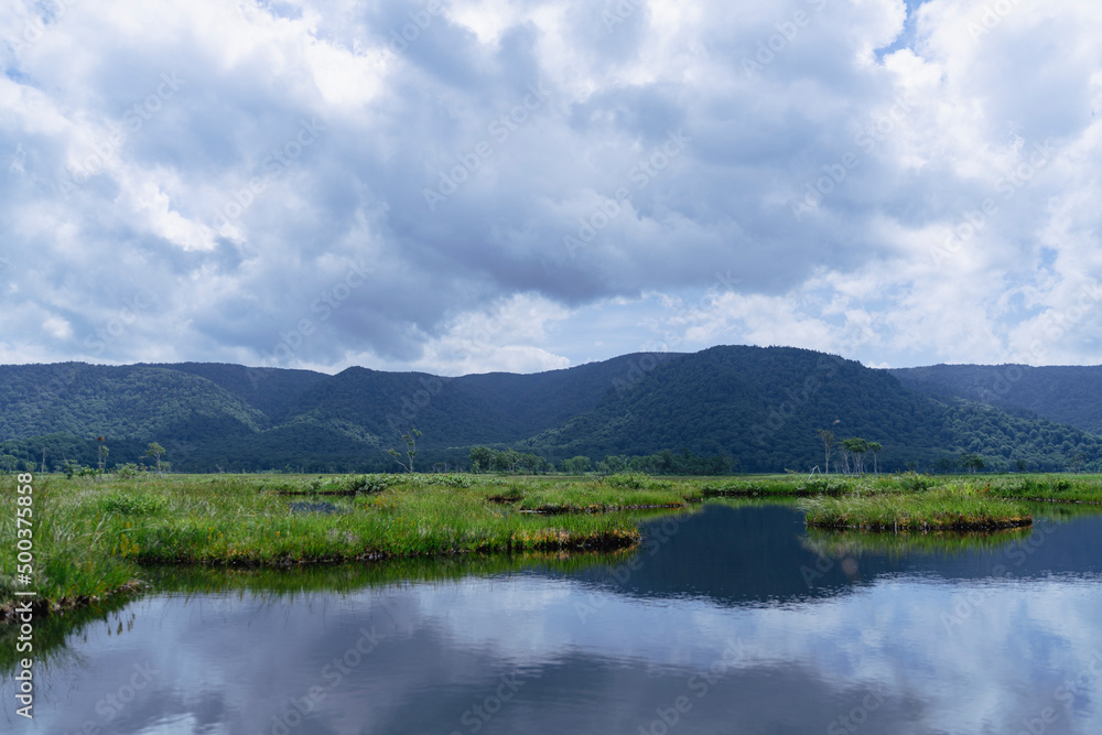 夏の尾瀬で撮影した緑が生い茂る山と、その山と雲がが映る池（水鏡）