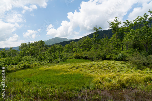夏の尾瀬で撮影した緑生い茂る山々と、野原と、空と雲