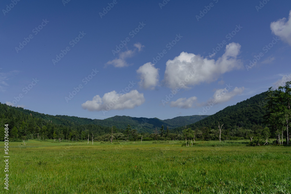 夏の尾瀬で撮影した緑生い茂る野原、山々、空と雲