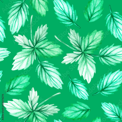 Leaf seamless pattern. Watercolor illustration. Isolated on a green background. For design. © Ekaterina