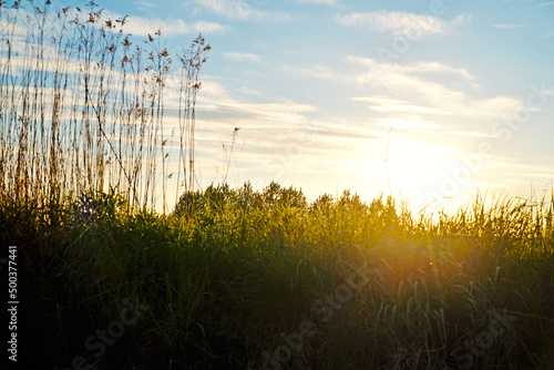 Obraz na płótnie Beautiful landscape, view of the village, fields and meadows. The trees, the grass, the setting sun. w salonie