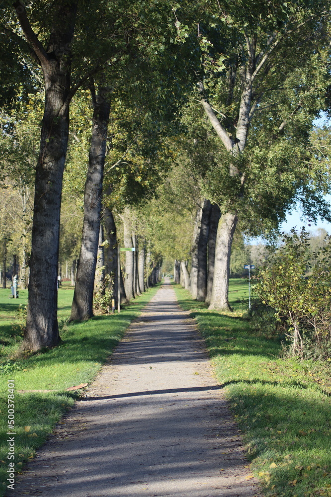 Dark cumulus clouds above the road N219 and Zuidplaspolder