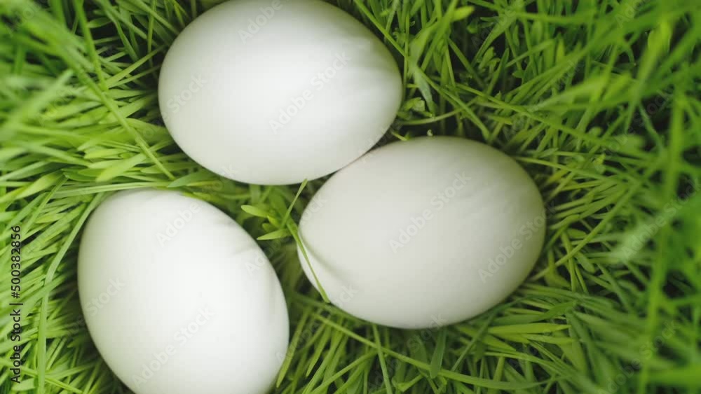 Chicken egg, rotation shot, Chicken fresh raw eggs.Healthy fresh food ingredients for breakfast. Animal products. Grocery. Chicken farm fresh eggs Chicken egg, rotation shot, Chicken fresh raw eggs.Healthy fresh food ingredients for breakfast. Animal products. Grocery. Chicken farm fresh eggs