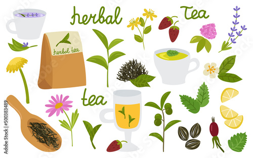 Natural herbal tea set of elements. Leaves and twigs, flowers, clover, rosehip, strawberry, lemon, mint, lavender. Mugs with a drink. Collection for the design and decoration of products.