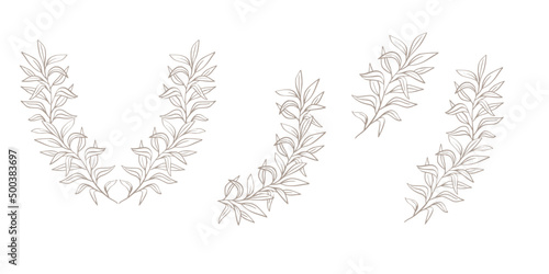 Floral lineart vintage frames and wreaths