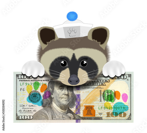 Isolated illustration. Cartoon funny cute face of a fluffy raccoon with white paws and sailor cap on the background of a paper banknote of 100 US dollars and colored animal paw prints