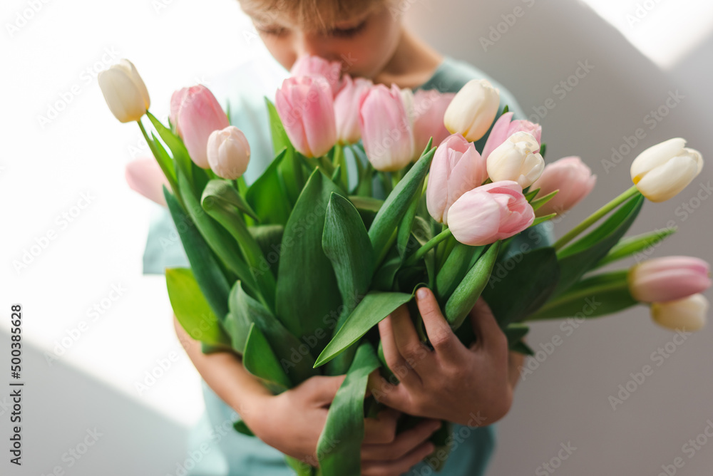 A little boy holds a tender bouquet of pink and white tulips. A little boy holds a tender bouquet of pink and white tulips.